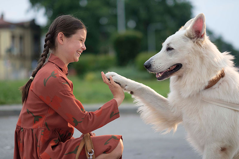 Kadr z filmu O psie, który jeździł koleją